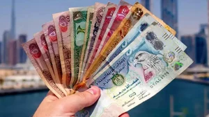 قیمت درهم امارات امروز شنبه ۷ تیر ماه ۱۴۰۴ / کاهش یا افزایش؟