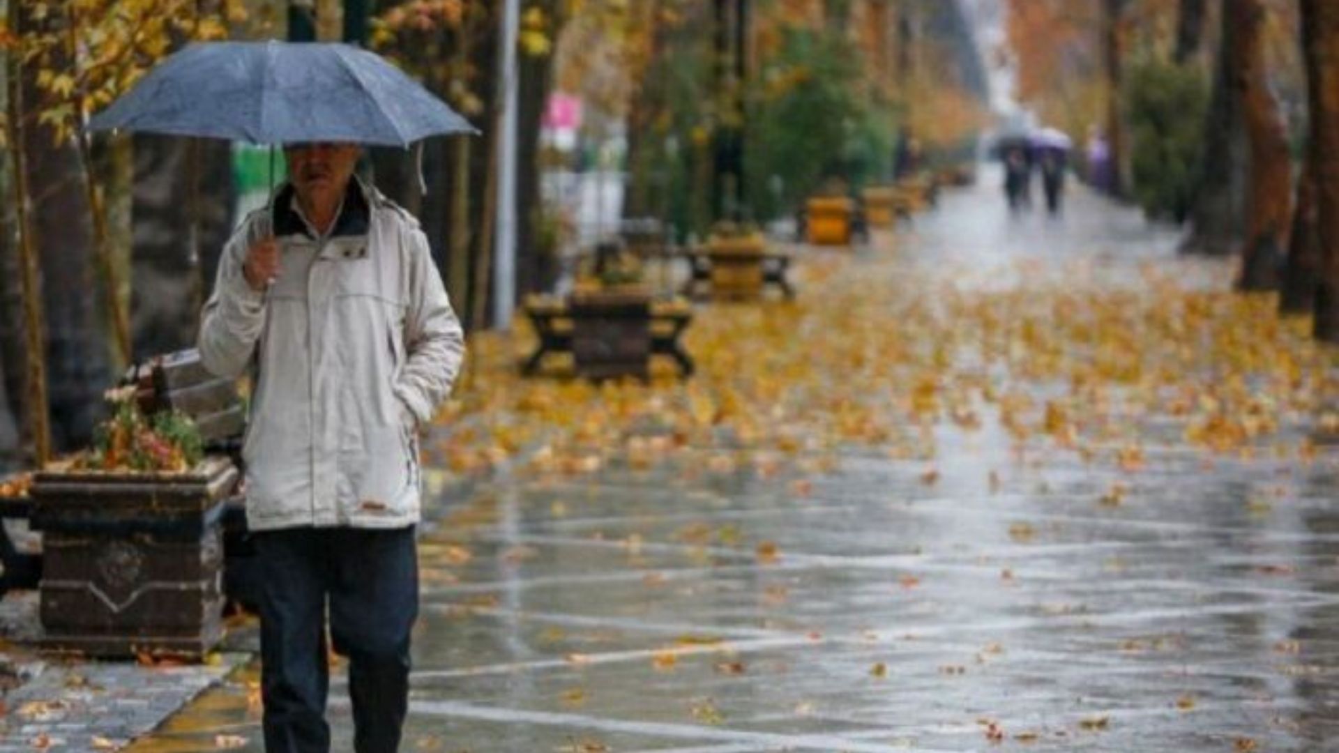 هواشناسی استان تهران برای فردا یکشنبه (۸تیرماه) اطلاعیه داد