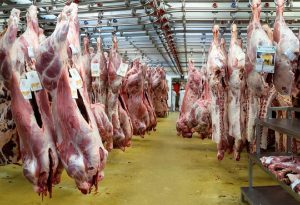 قیمت گوشت قرمز امروز جمعه 6 تیر/ راسته گوسفندی کیلویی چند؟