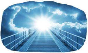 تعبیر خواب فیل های مرده