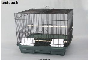 تعبیر خواب جوجه گنجشک مرده