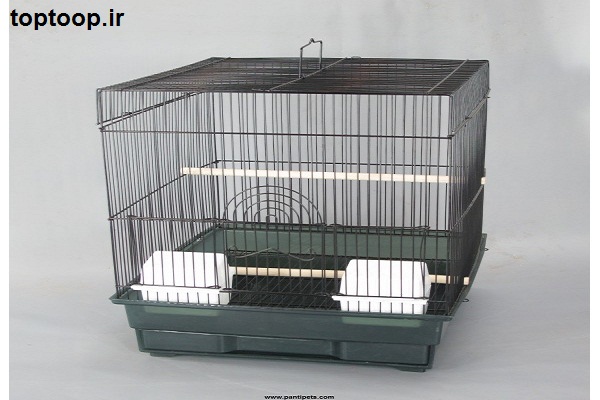 تعبیر خواب جوجه گنجشک مرده