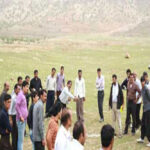 بازی محلی جیجه خروس