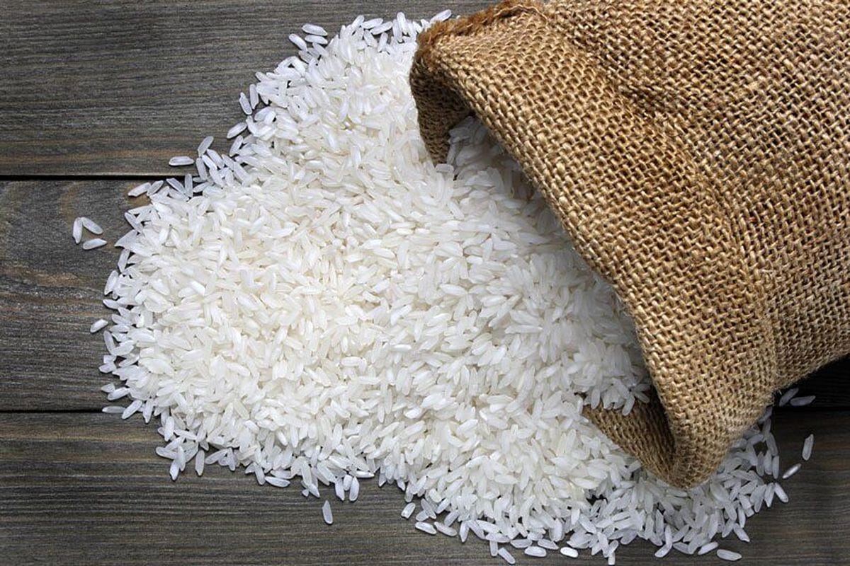 راهنمای خرید برنج ایرانی؛ بهترین زمان خرید و معرفی انواع برنج معروف