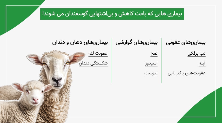 بیماری&zwnj;های مختلفی که می&zwnj;توانند باعث کاهش و بی&zwnj;اشتهایی گوسفندان شوند