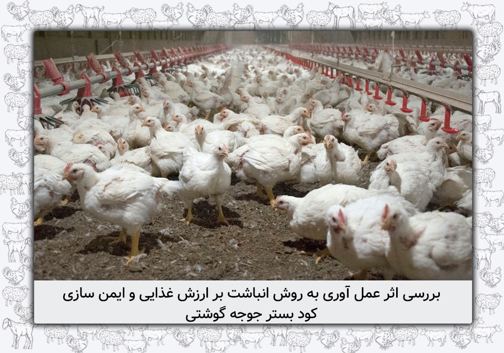 بهبود ارزش غذایی و ایمنی کود مرغی با روش دپو کردن