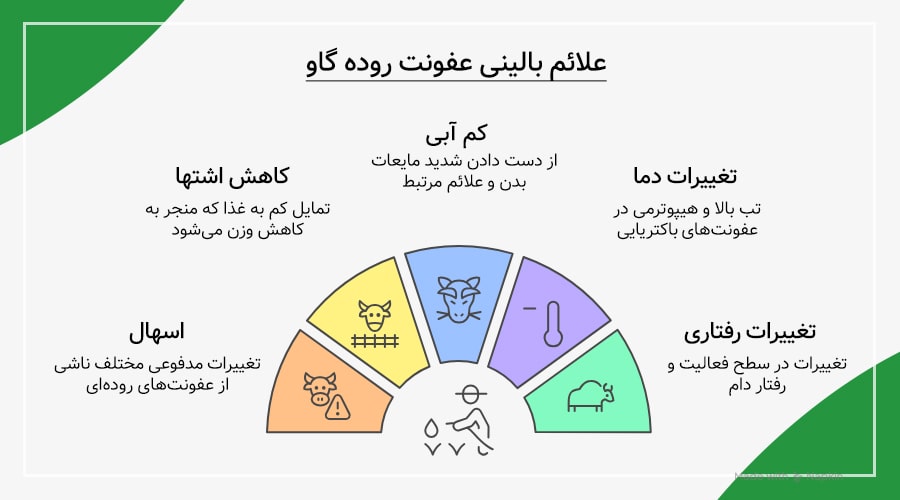 علائم بالینی عفونت روده گاو