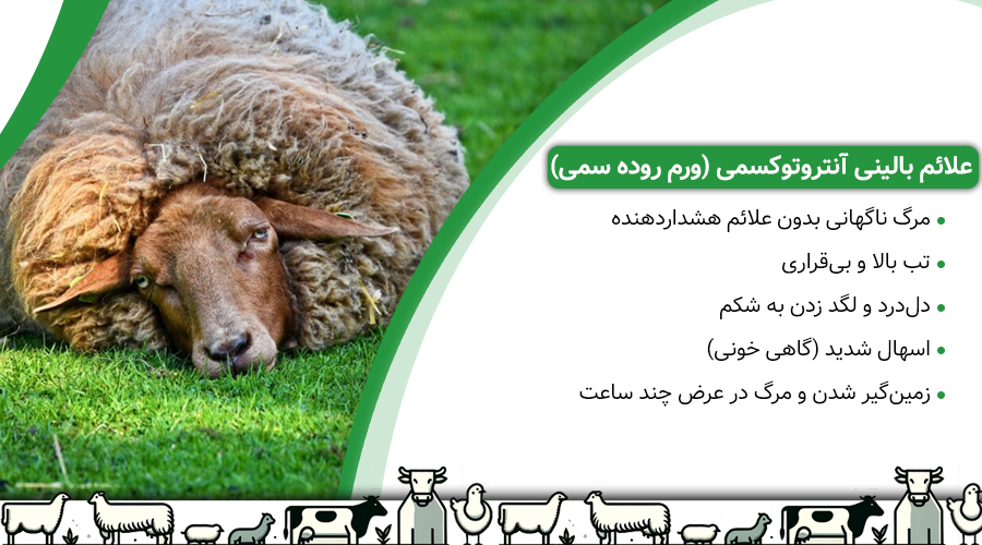 علائم بالینی آنتروتوکسمی (ورم روده سمی)