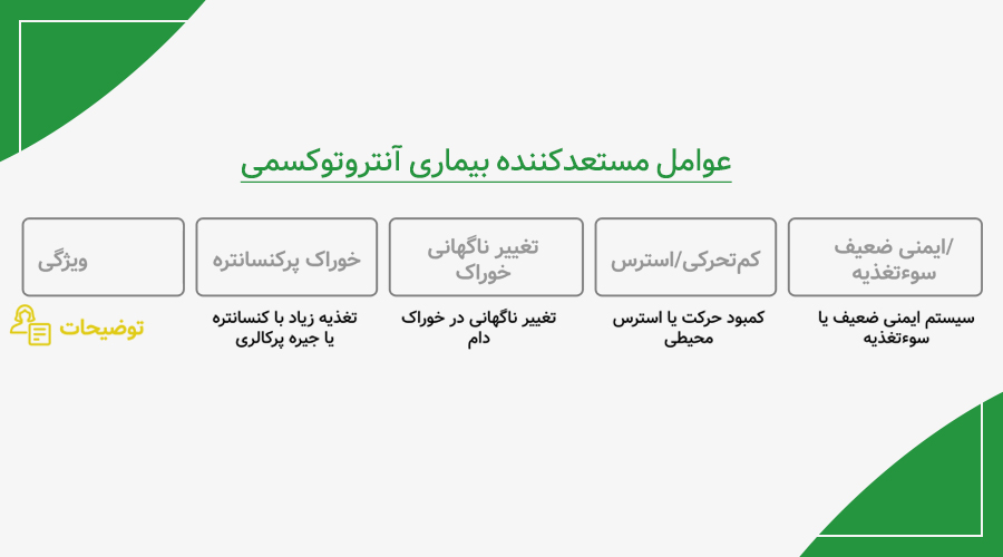 روش&zwnj;های تشخیص بیماری آنتروتوکسمی در دام