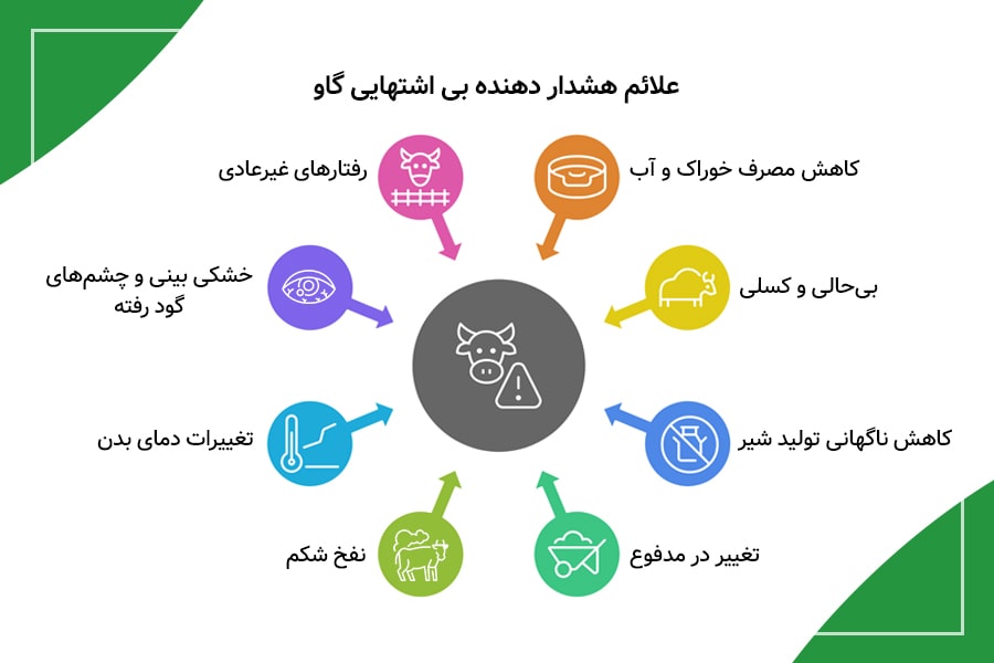 علائم بی اشتهایی در گاو