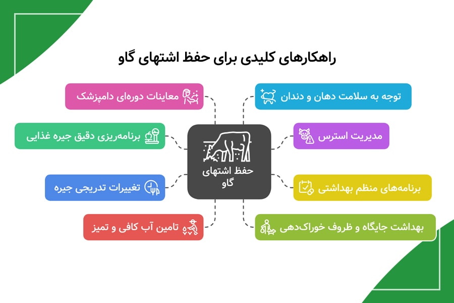 درمان خانگی بی اشتهایی گاو: راهکارهای عملی و اثربخش در دامداری