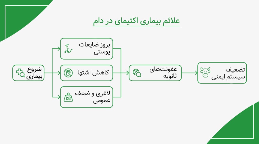 منشأ و چگونگی ایجاد بیماری اکتیمای واگیر در دام