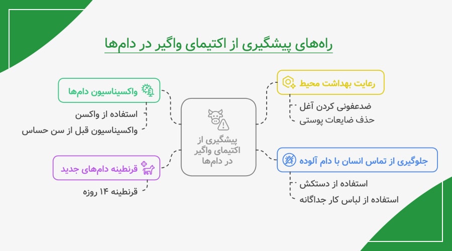 راه&zwnj;های پیشگیری از اکتیمای واگیر در دام&zwnj;ها