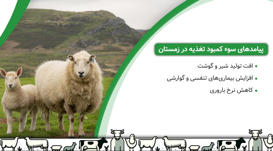 پیامدهای سوء کمبود تغذیه در زمستان