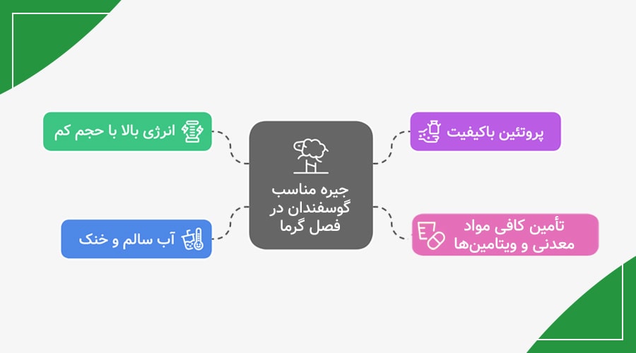 تغذیه دام در فصل گرما باید چگونه باشد؟