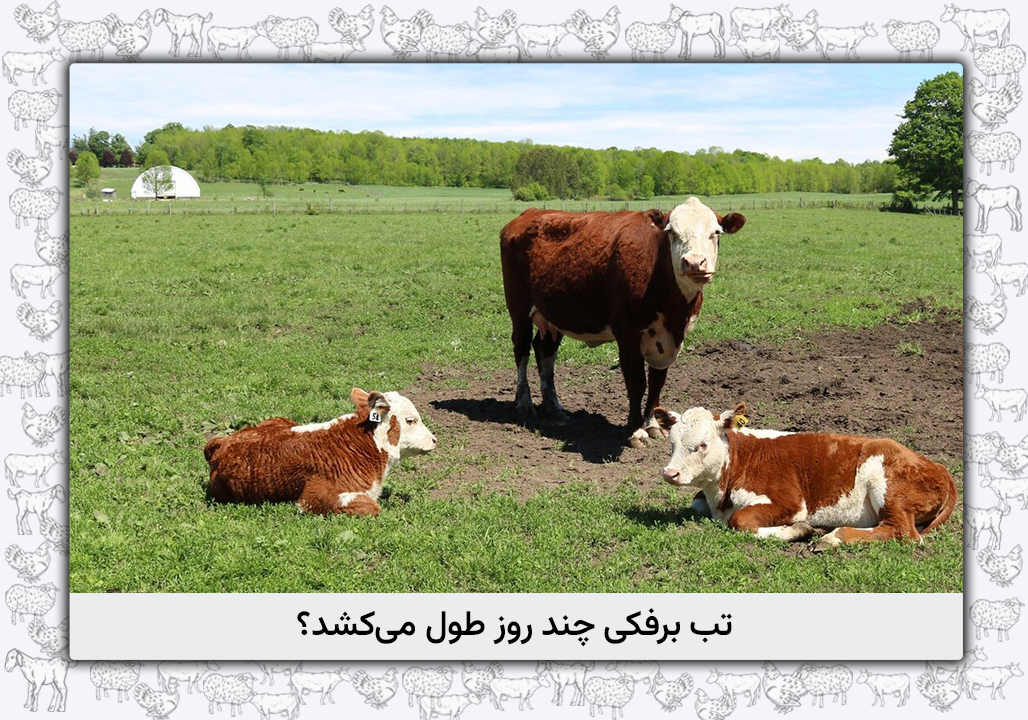 تب برفکی چند روز طول می‌کشد؟