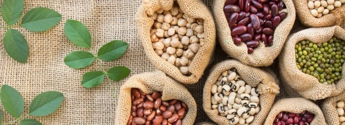 راهنمای نگهداری حبوبات در منزل ( نکات و آموزش ها)