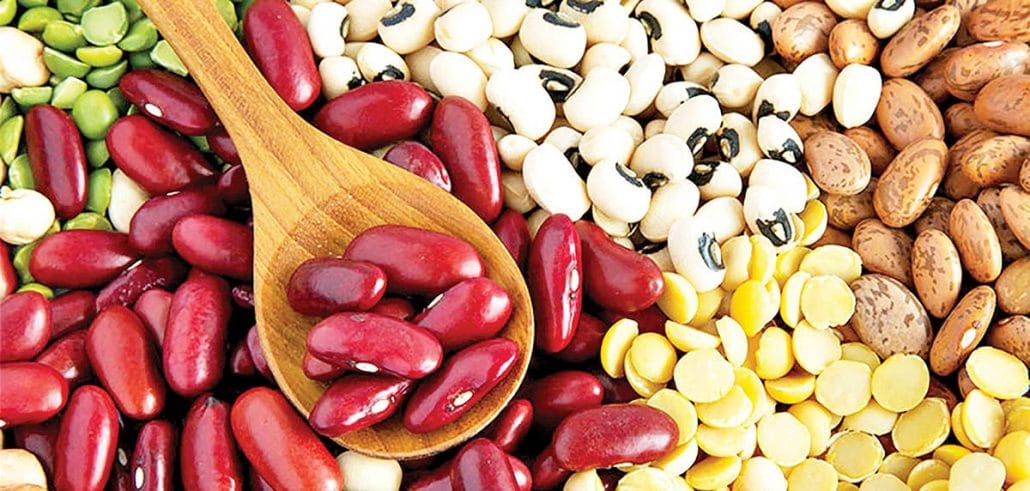 راهنمای نگهداری حبوبات در منزل ( نکات و آموزش ها)