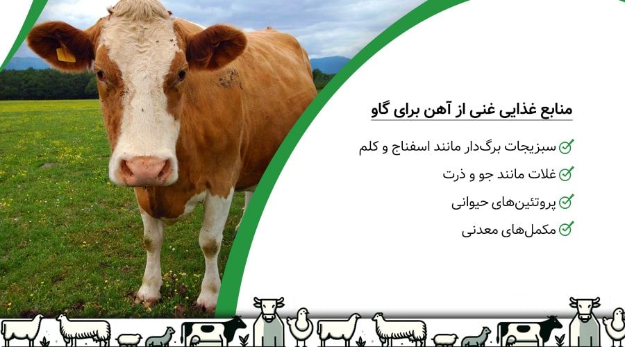 منابع غذایی غنی از آهن