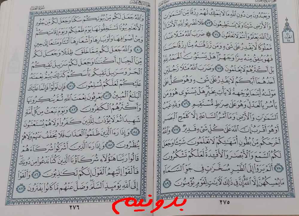 پاسخ استخاره با قرآن کریم صفحه 275