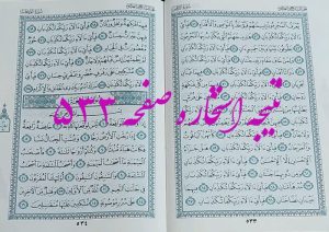 پاسخ استخاره ص 533 قران