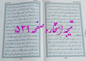 پاسخ استخاره ص 539 قران