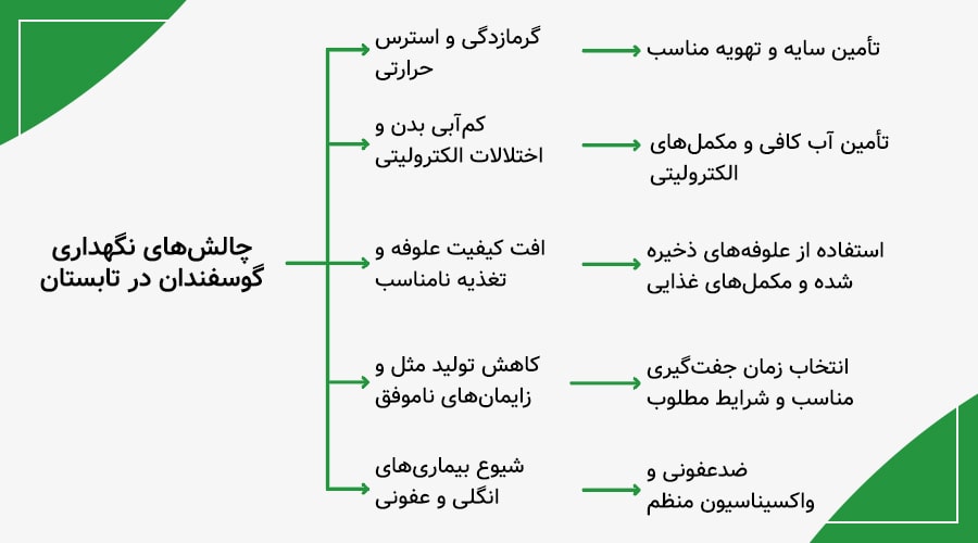 چالش&zwnj;های نگهداری گوسفند در تابستان و راکارهای مقابله با آنها