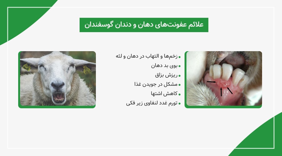 علائم عفونت&zwnj;های دهان و دندان