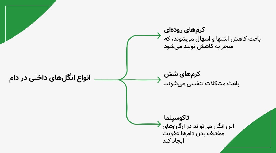 انگل&zwnj;های داخلی شایع در دام
