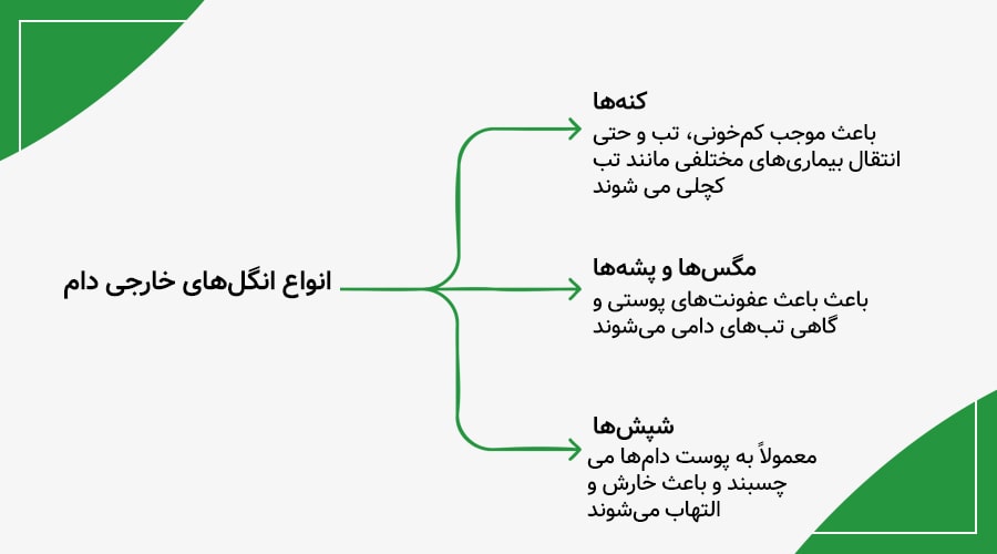 انگل&zwnj;های خارجی شایع در دام