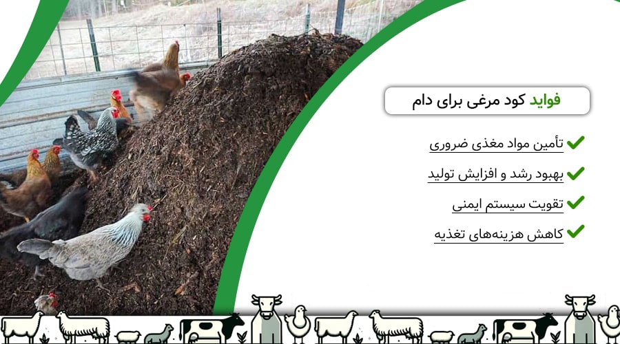 فواید کود مرغی برای دام