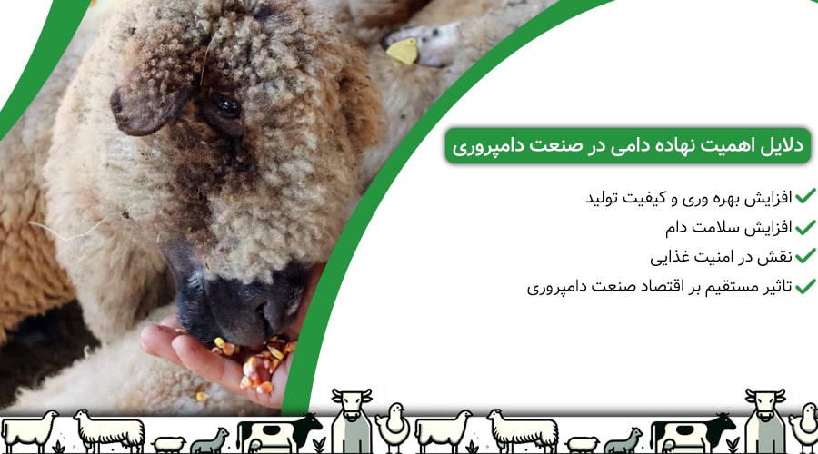 اهمیت نهاده دامی در صنعت دامپروری