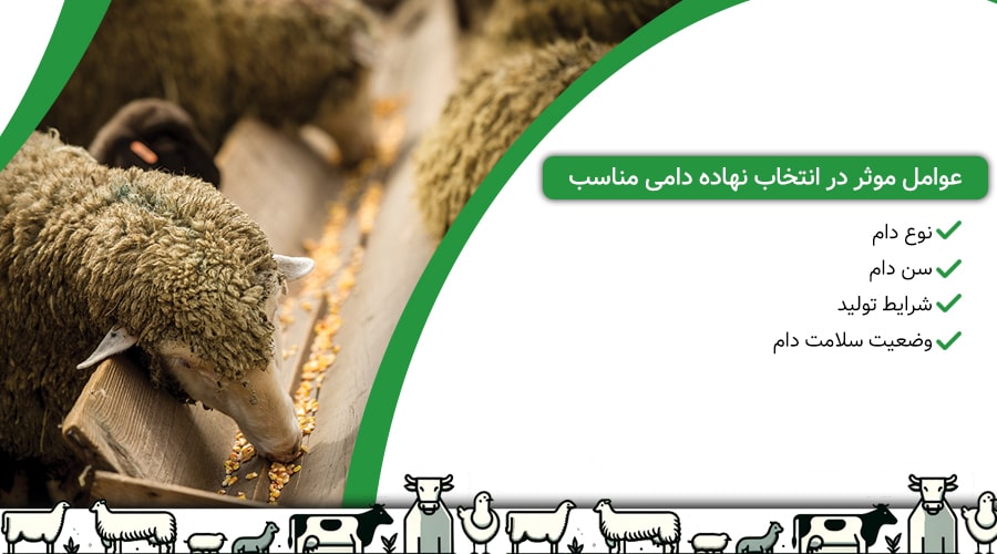 عوامل موثر در انتخاب نهاده دامی مناسب