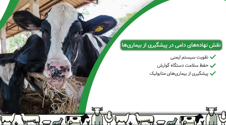 نقش نهاده&zwnj;های دامی در پیشگیری از بیماری&zwnj;ها