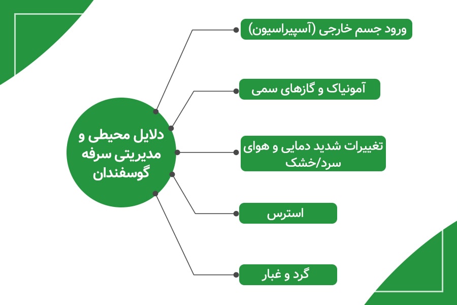علل محیطی و مدیریتی سرفه در گوسفندان