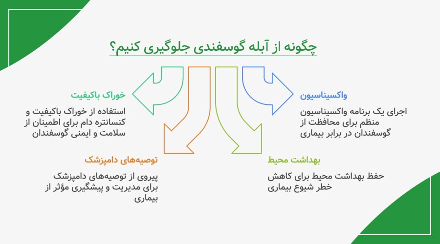 روش های پیشگیری و کنترل بیماری آبله گوسفندی