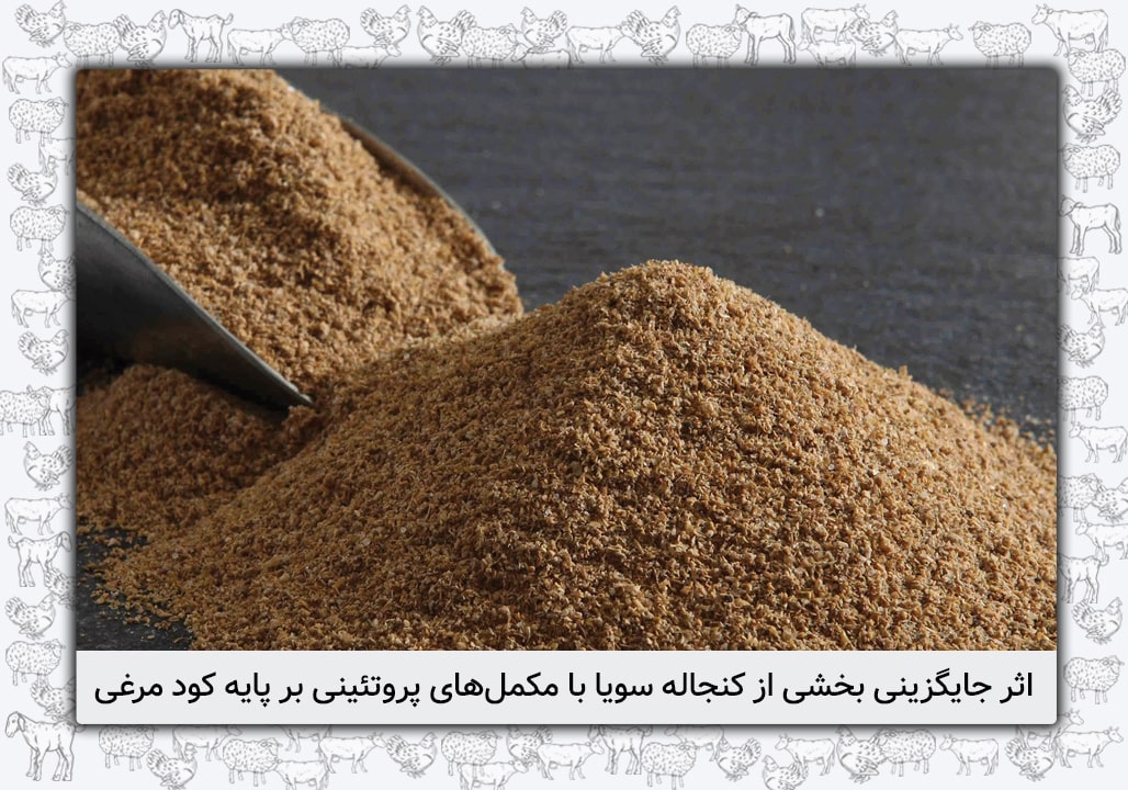 اثر جایگزینی بخشی از کنجاله سویا با مکمل‌های پروتئینی بر پایه کود مرغی