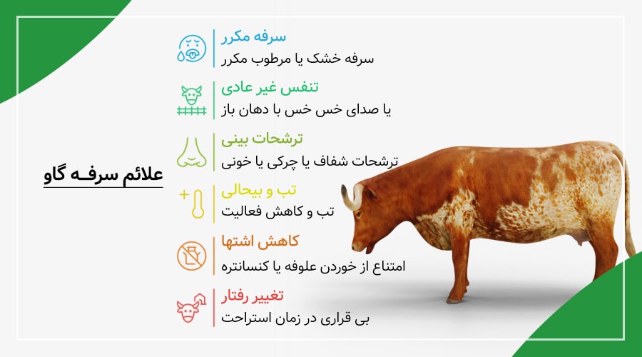 علائم سرفه گاو