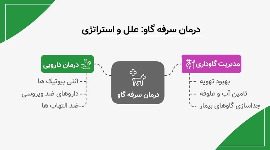 درمان سرفه گاو