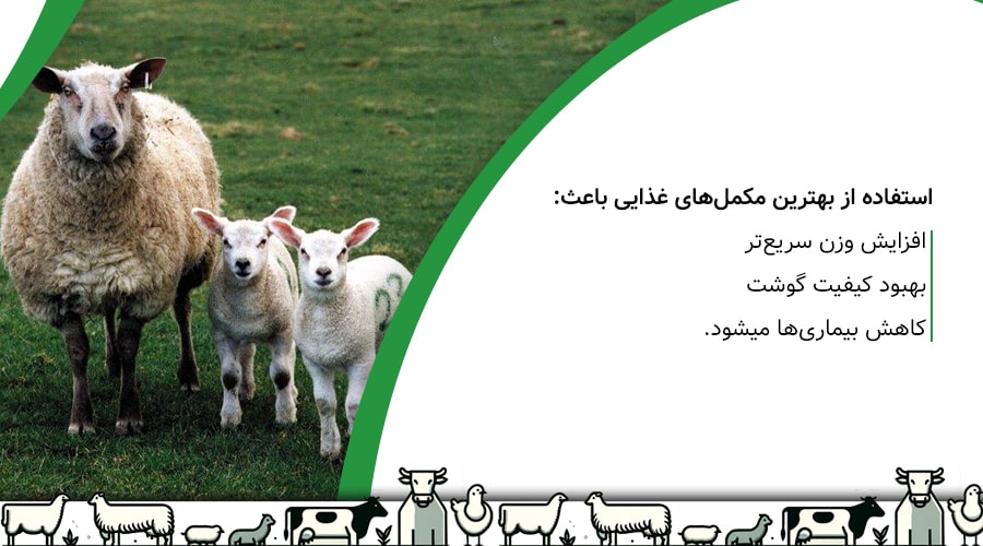 مزایای استفاده از مکمل&zwnj;های غذایی