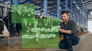 بهترین و کاملترین تغذیه دام پرواری
