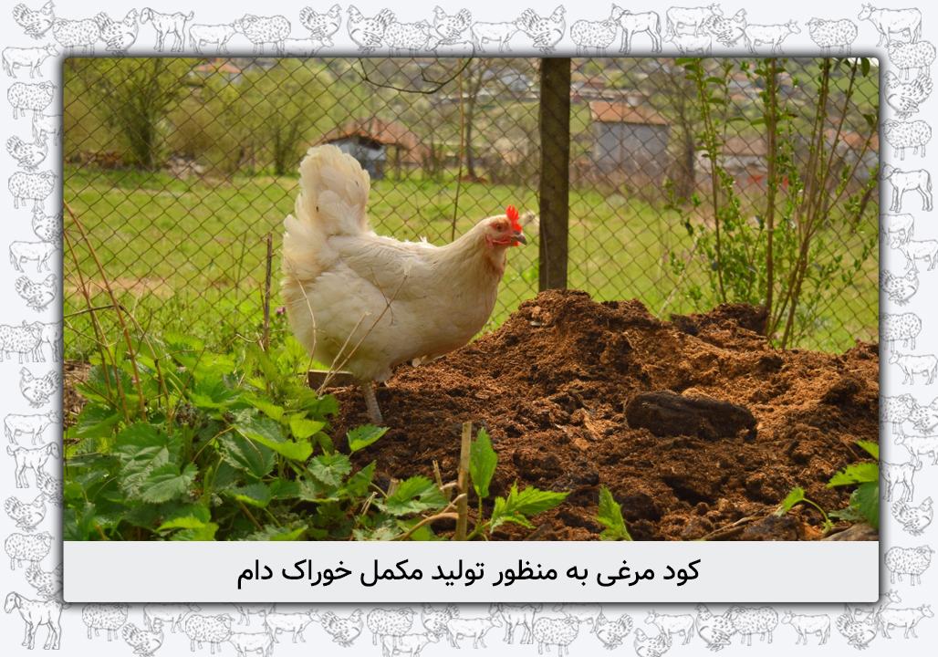 دستیابی به فناوری مناسب عمل آوری كود مرغی به منظور تولید مکمل خوراک دام