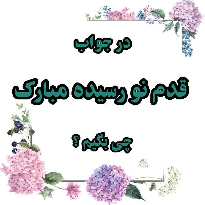 در جواب قدم نو رسیده مبارک چی بگیم ؟