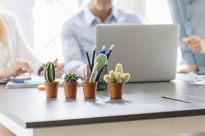 راهنمای انتخاب بهترین گل برای هدیه به آقایان در مناسبت&zwnj;ها