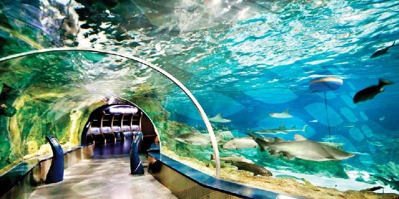 استانبول با جاذبههای گردشگری متنوع