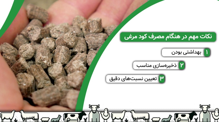 نکات مهم در زمان مصرف کود مرغی