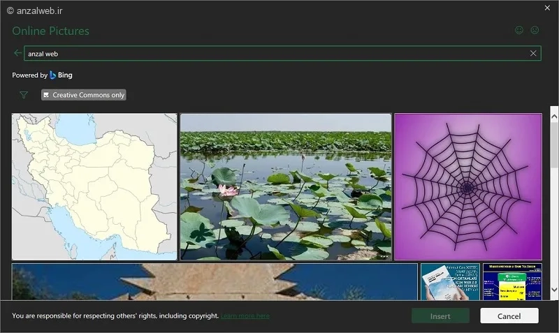 جستجو آنلاین عکس برای قرار دادن عکس در اکسل