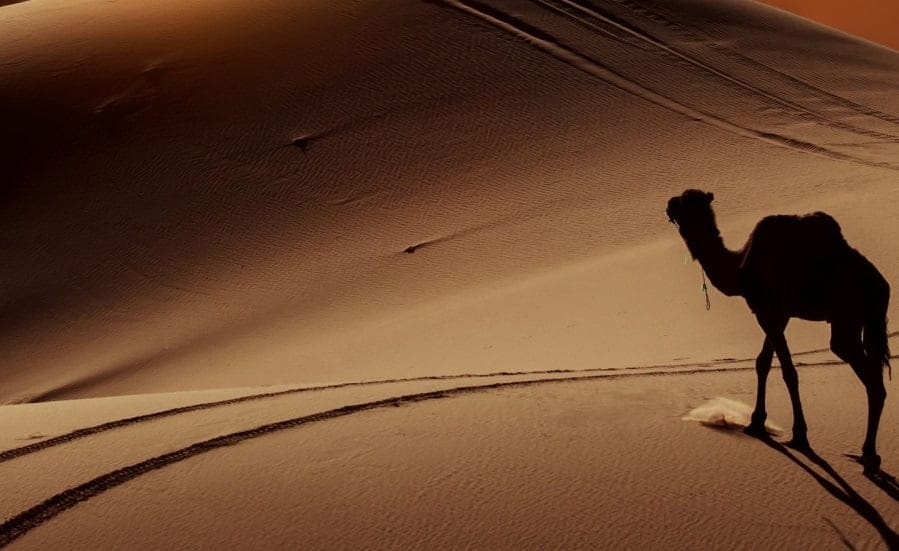 راهنمای سفر به کویر با تجهیزات مورد نیاز؛ معرفی بهترین کویرهای ایران