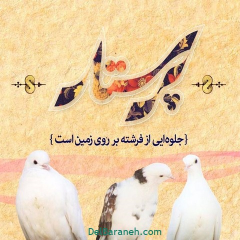 تبریک روز پرستار (۳)