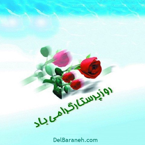 عکس-روز-پرستار-۱